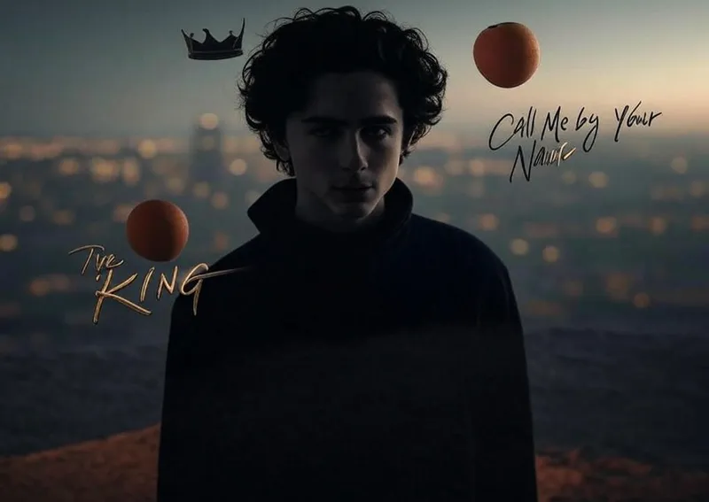 16 Best Timothée Chalamet Movies on Netflix (2024 Update)