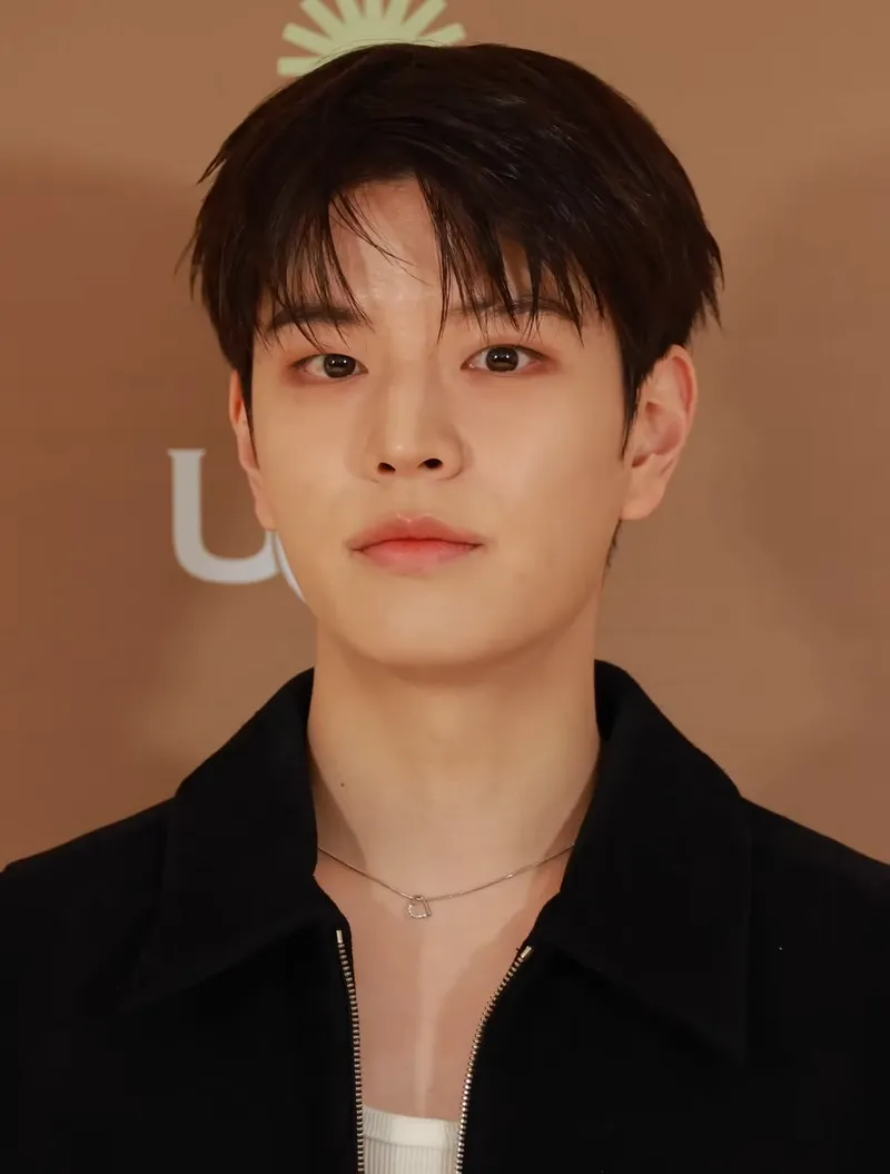 Seungmin Height: The Truth Behind Stray Kids’ Hidden Visual